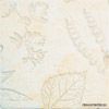 ����� Fosiles Beige 10x10
