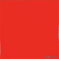 Beta Rojo (20 x 20) ���������
