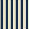 Petracer's Grand Elegance RG 11-2 Riga Grande Blu su Crema