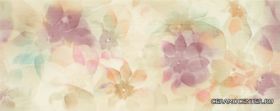 ����� Cinderella Wengue 20 x 50