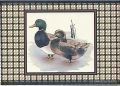 Petracer's Grand Elegance Canard A