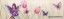 ������ CENEFA NINFA ������: (10x33.3)