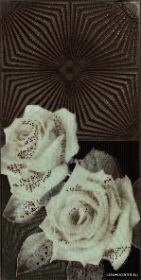 ARANDA DECOR MISTIC CAFE  SET 2