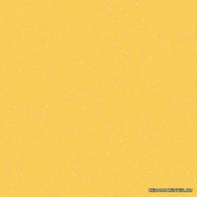 Arcoiris Amarillo (���) 31.6 � 31.6