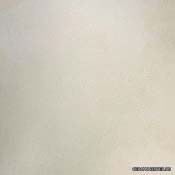 RHS Metallika White Gold (30�30)
