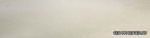 RHS Metallika White Gold (15�60)
