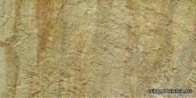 RHS  EVOLUTION Dorada Beige 30�60