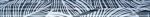 Bionic Blue ������ 5x50