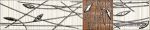 ������ Organic braz classic 25x5