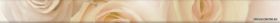 cen. zenon beige