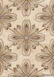 ����� D.Versalles B-21 Crema 31,6x45