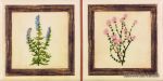 ������ Cenefa Botanico 10 x 20