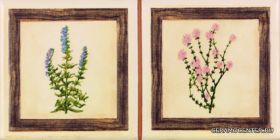 ������ Cenefa Botanico 10 x 20
