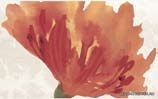 Decko Flor Decko Fuego 25x40