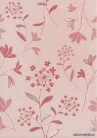 D.CRISTAL AZALEA 31.6�45