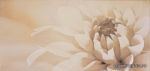Decor Irina marengo  25x50