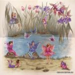 ����� NINFA ������: (66.6x66.6)