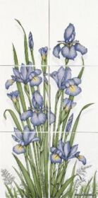 SUKCES ����� DS Pole Iris Azurro 25x33,3x6 ��