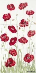 SUKCES ����� DS Pole Makowe 25x33,3x6 ��