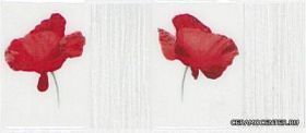 SUKCES ������ LS Suckces M 11x25 ��
