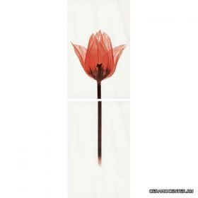 TANGO ����� DS T Rosso KW ��������� 250�800