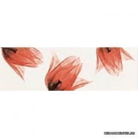 TANGO ������ LS T ROSSO B ��������� 80�250