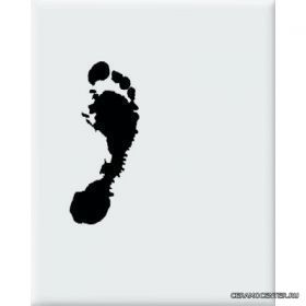 QUO VADIS ����� D-QUO VADIS 1P ��������� 20�25