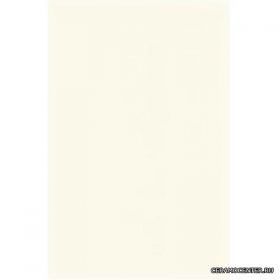 CERAMIKA PARADYZ ������ ������������ Concert Bianco 25x40 ��