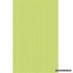 CERAMIKA PARADYZ ������ ������������ Concert Verde 25x40 ��