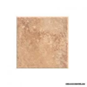 CERAMIKA PARADYZ ������ ������������ Gloria Rosa 10x10 ��