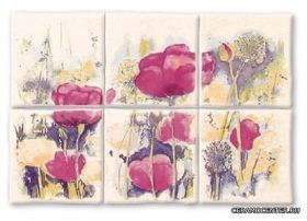 CERKOLOR ����� AKWARELA ���������� 30x20 ��
