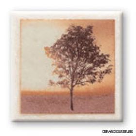 CERKOLOR ����� 9,8x9,8 �� ����� 1