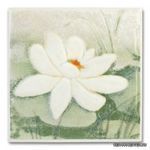 CERKOLOR ����� Lilie motyw B 10x10 ��