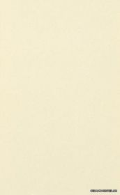 HAWANA ������ ������������ SB Giallo J (�������) 25x40 ��