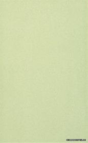 HAWANA ������ ������������ SB Verde C (�����) 25x40 ��