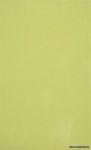 STYL ������ ������������ SB Styl kiwi 25x40 ��