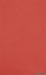 STYL ������ ������������ SB Styl red 25x40 ��