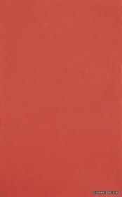 STYL ������ ������������ SB Styl red 25x40 ��