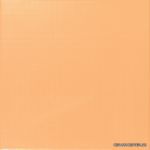 Monte Carlo Maiz 33.3x33.3