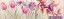 ������ CENEFA NINFA ������: (10x33.3)