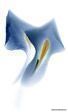 Viva Floranova Novablue TD9/005