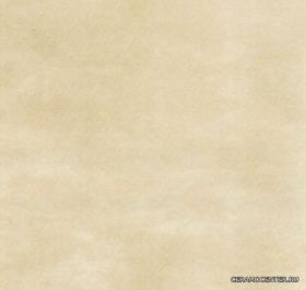 ARAL BEIGE ������: 33,3X33,3