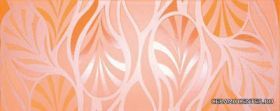 Gloss orange ����� 20x50