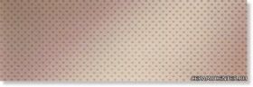 ����� AMORE CIPRIA INSERTO ������: 30.5�91.5