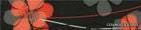 ������ LISTELO KYON NERO ������: (5x23.5)