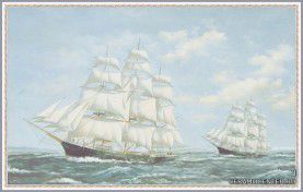 ����� Marina (�������� 3��) 45�70,5