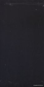 Negro Brillo 22 x 44