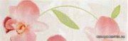 Op-Art  Terra ������  25�5,5