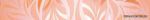 Gloss orange ������ 6x50