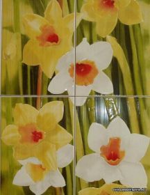 ����� Nice Narcis C-4